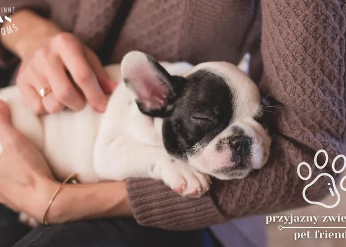 Jordan Goscinne Bed & Breakfast