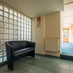 Jordan Goscinne Cracóvia